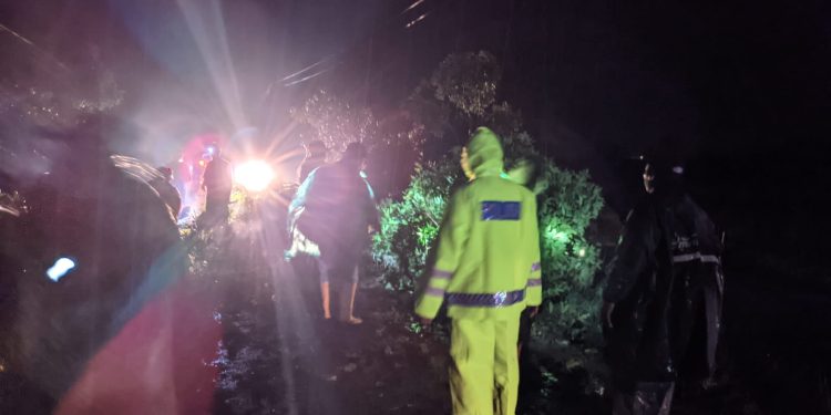 Polisi Ngawi Sigap Evakuasi Pohon Tumbang, Arus Lalin di Jogorogo Kembali Lancar